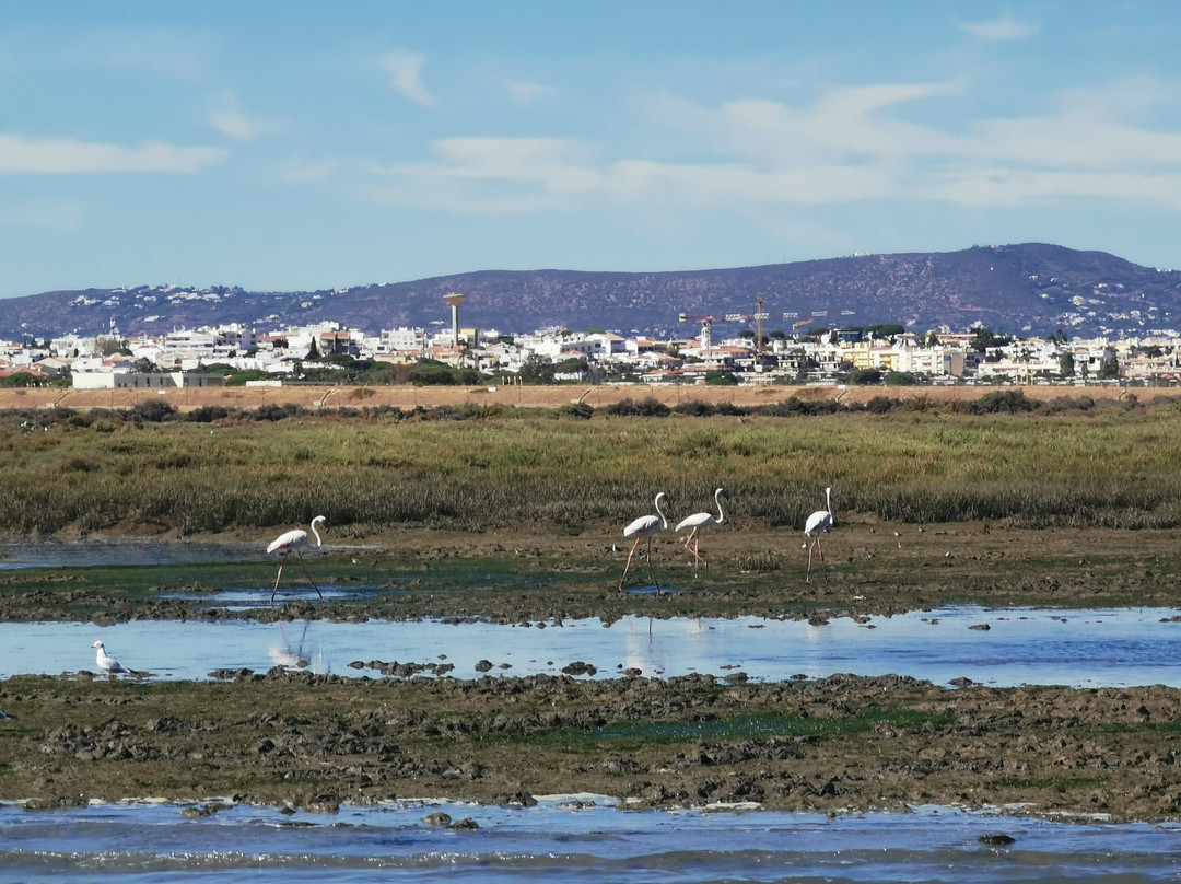 Islands 4 You-法罗必去景点