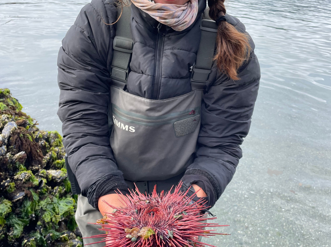 Moresby Explorers-Sandspit必去景点