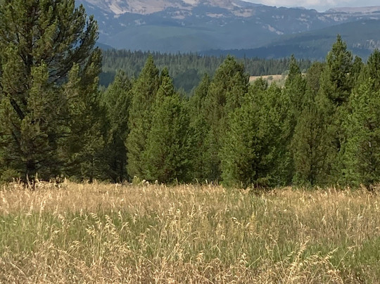 Yellowstone Adventures-西黄石镇必去景点