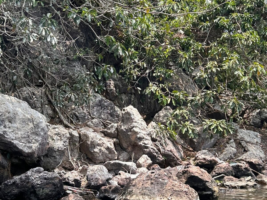 Takawiri Victoria Sands主图