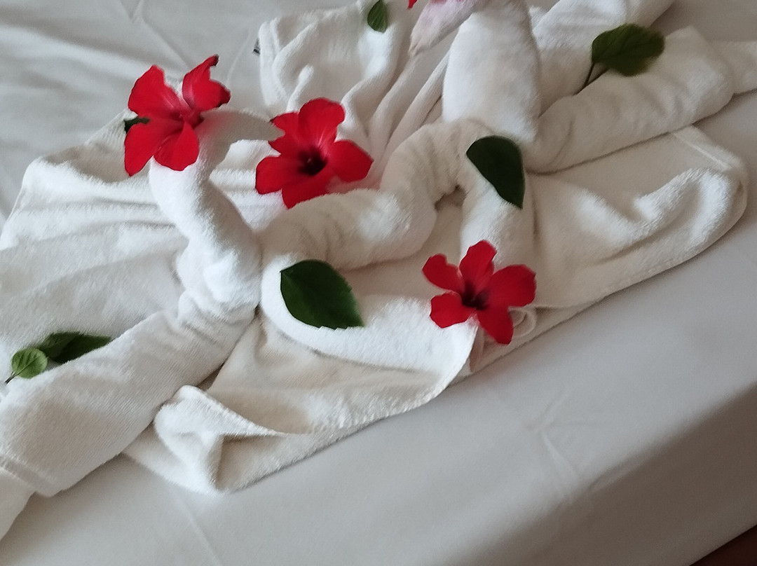 Hotel Telemaque Beach & Spa主图