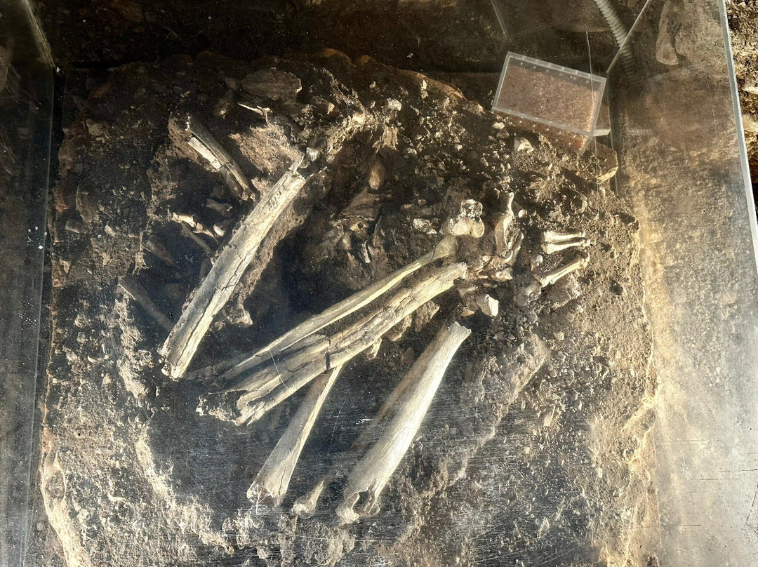 Theopetra Cave-Theopetra必去景点