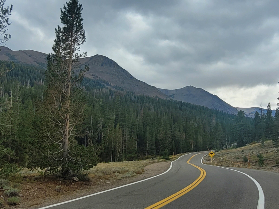 Sonora Pass-Dardanelle必去景点