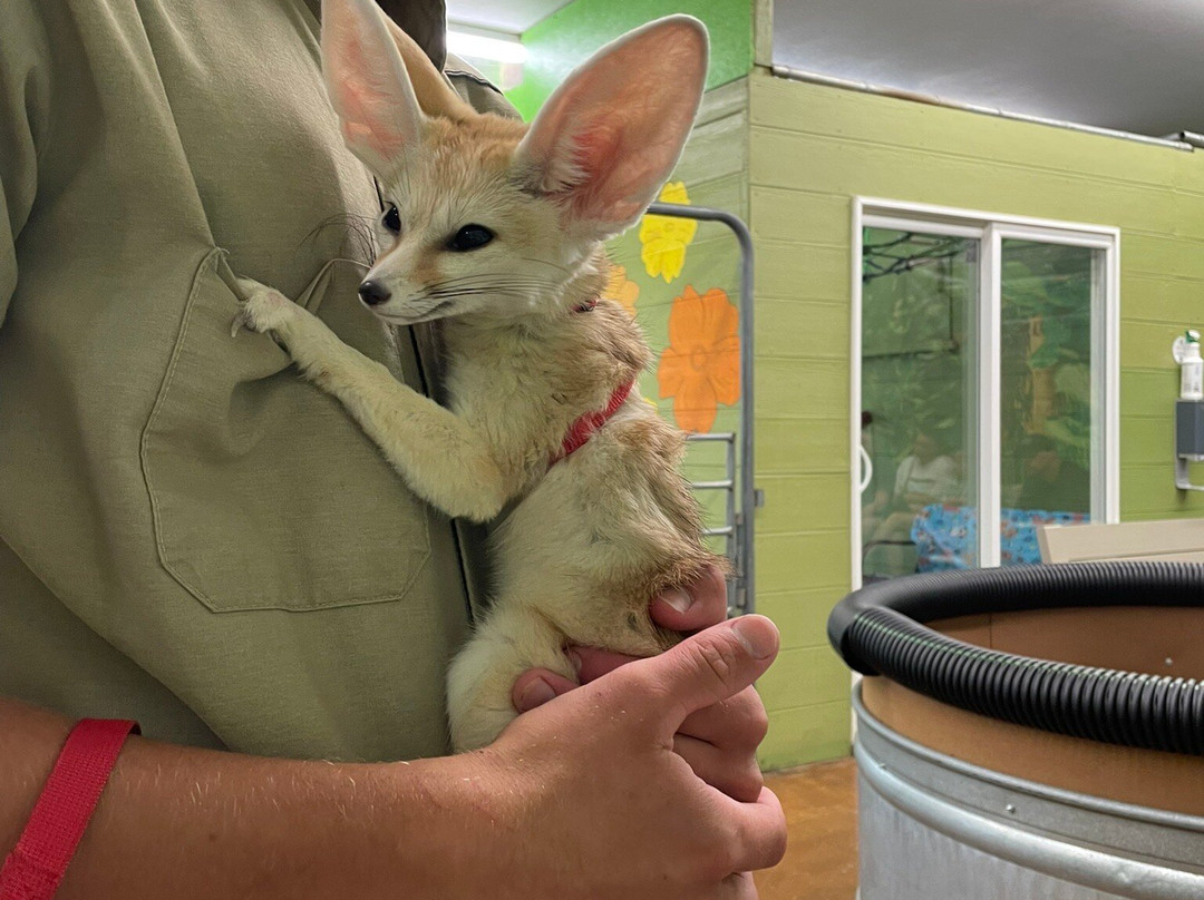 Branson's Promised Land Zoo-布兰森必去景点