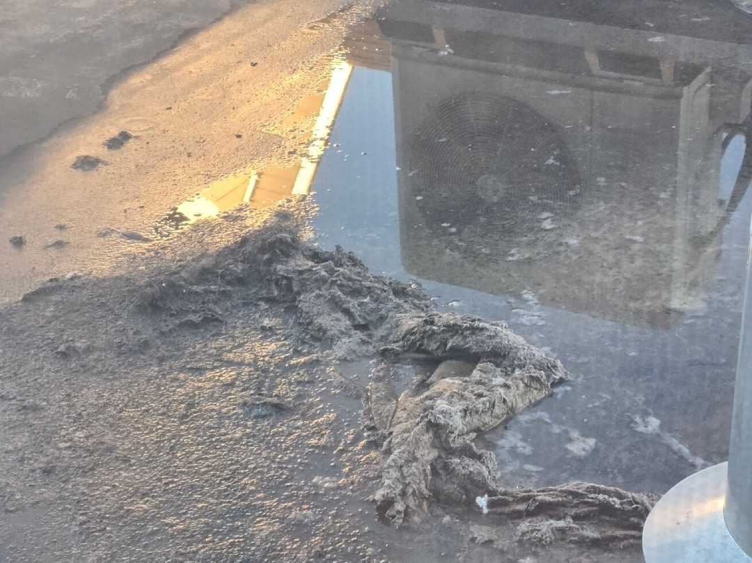 莫林四城原住客栈主图