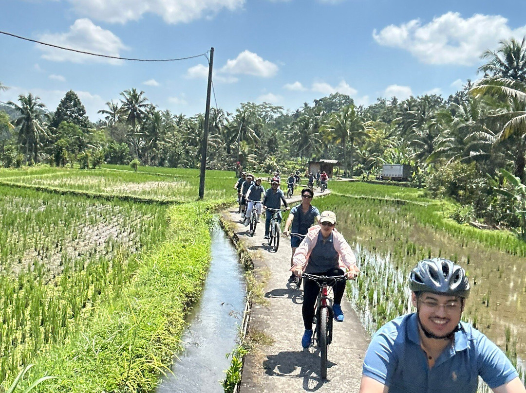 古农卡威斯巴图圣泉寺-Sebatu必去景点