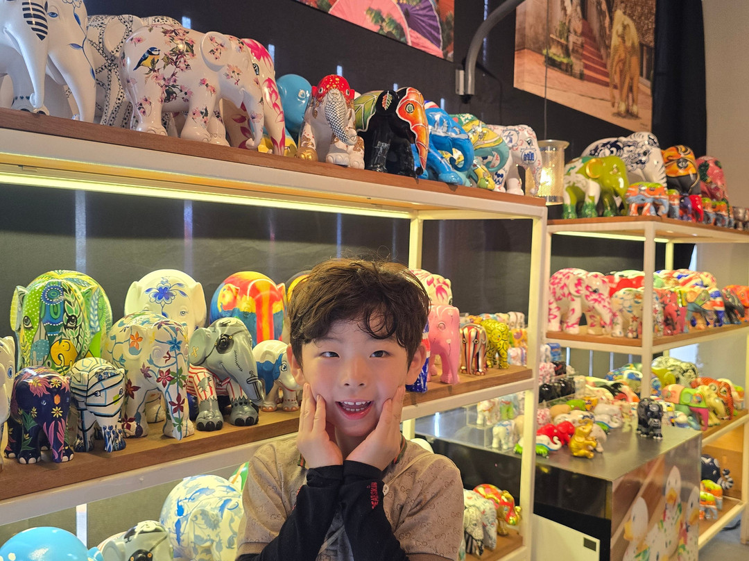 Elephant Parade Land-清迈必去景点