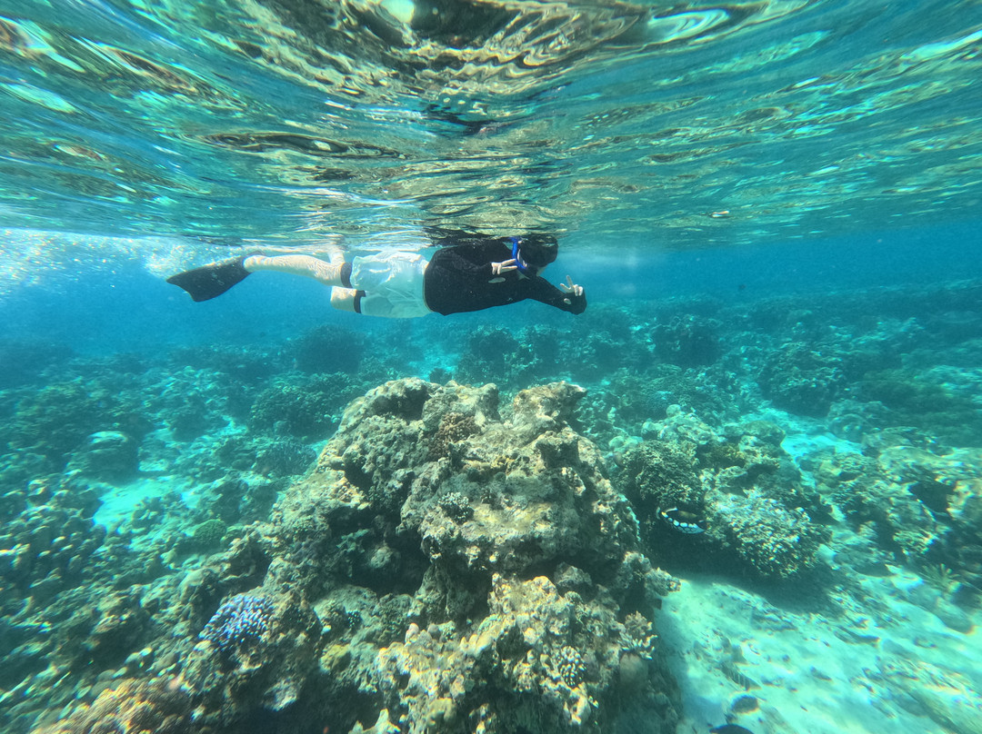Snorkeling Menjangan-佩母德兰必去景点
