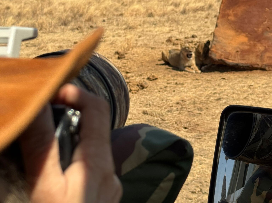 Nurali Safaris Kenya-马林地必去景点