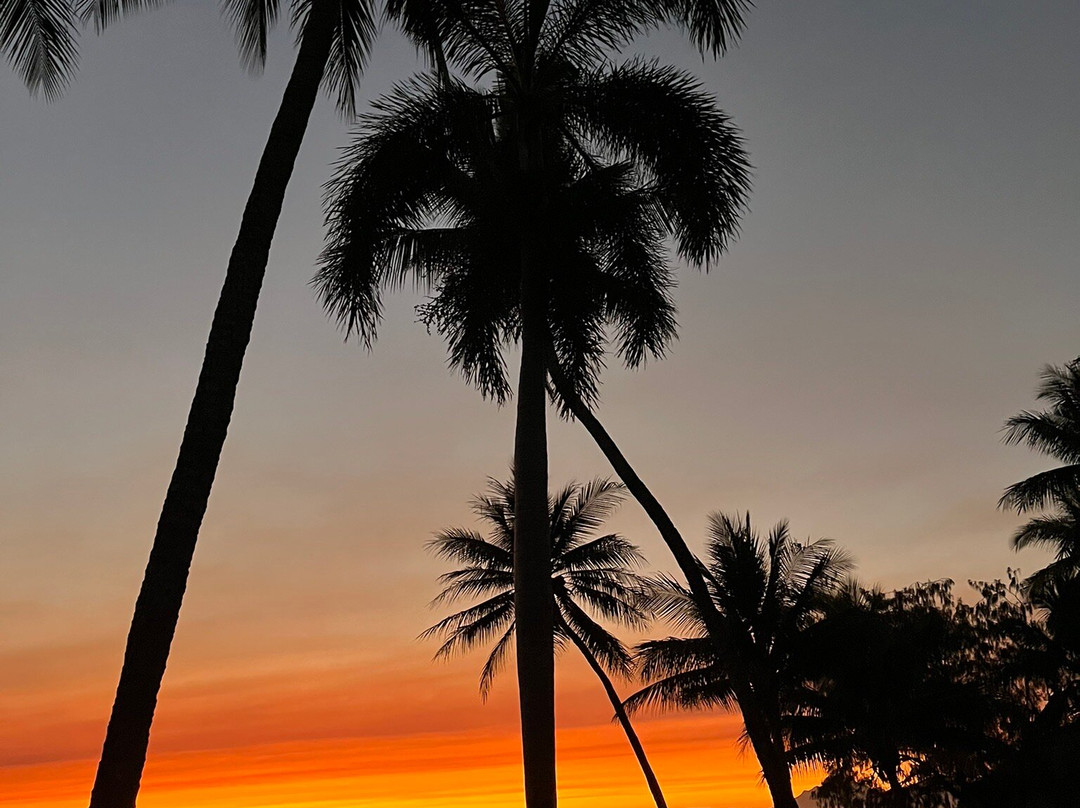 Orpheus Island National Park-Orpheus Island必去景点
