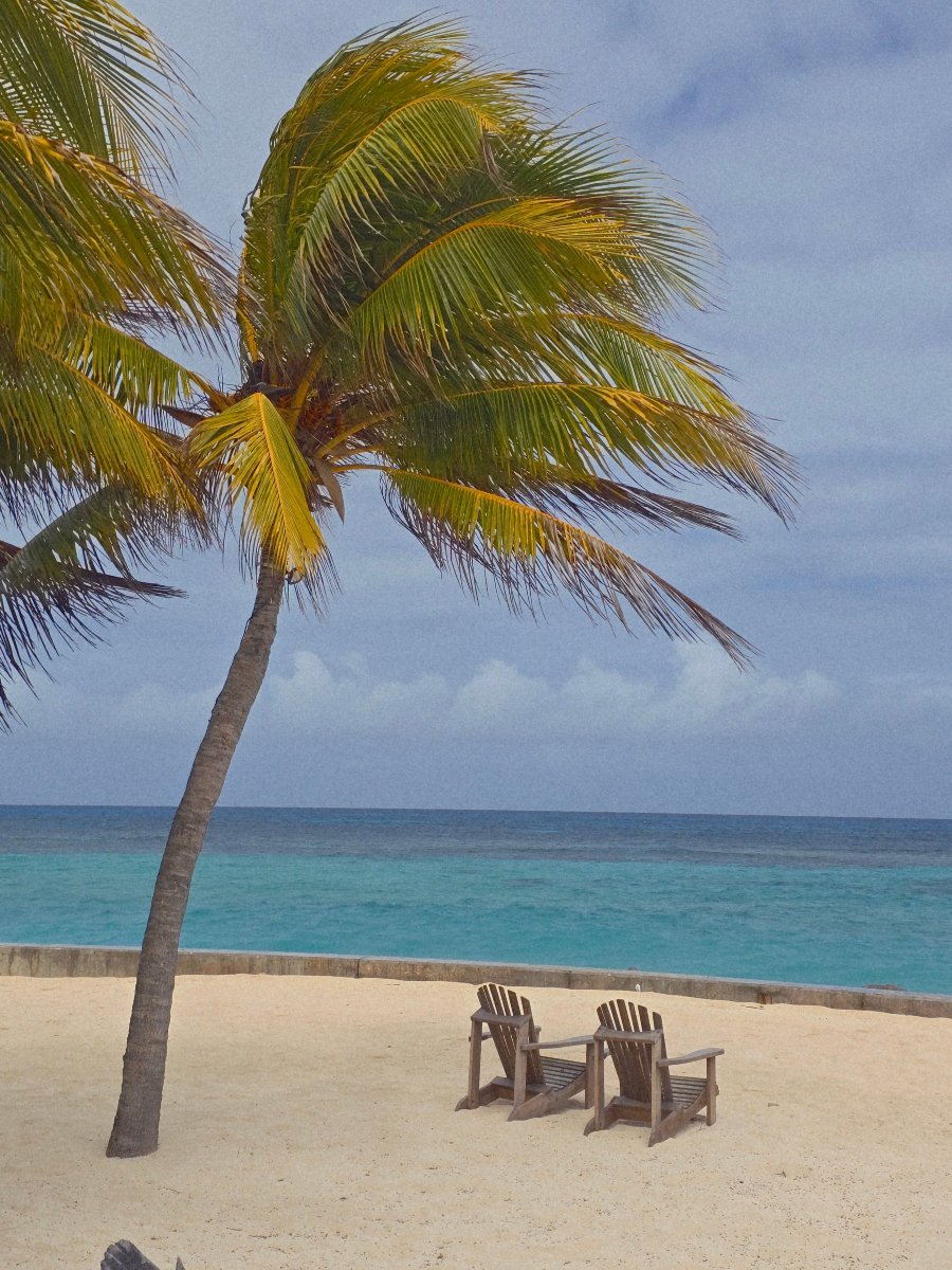 Denis Private Island-泳池