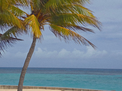 Denis Private Island主图