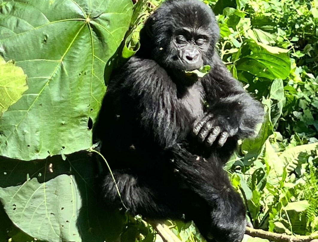 Mamaland Safaris-坎帕拉必去景点