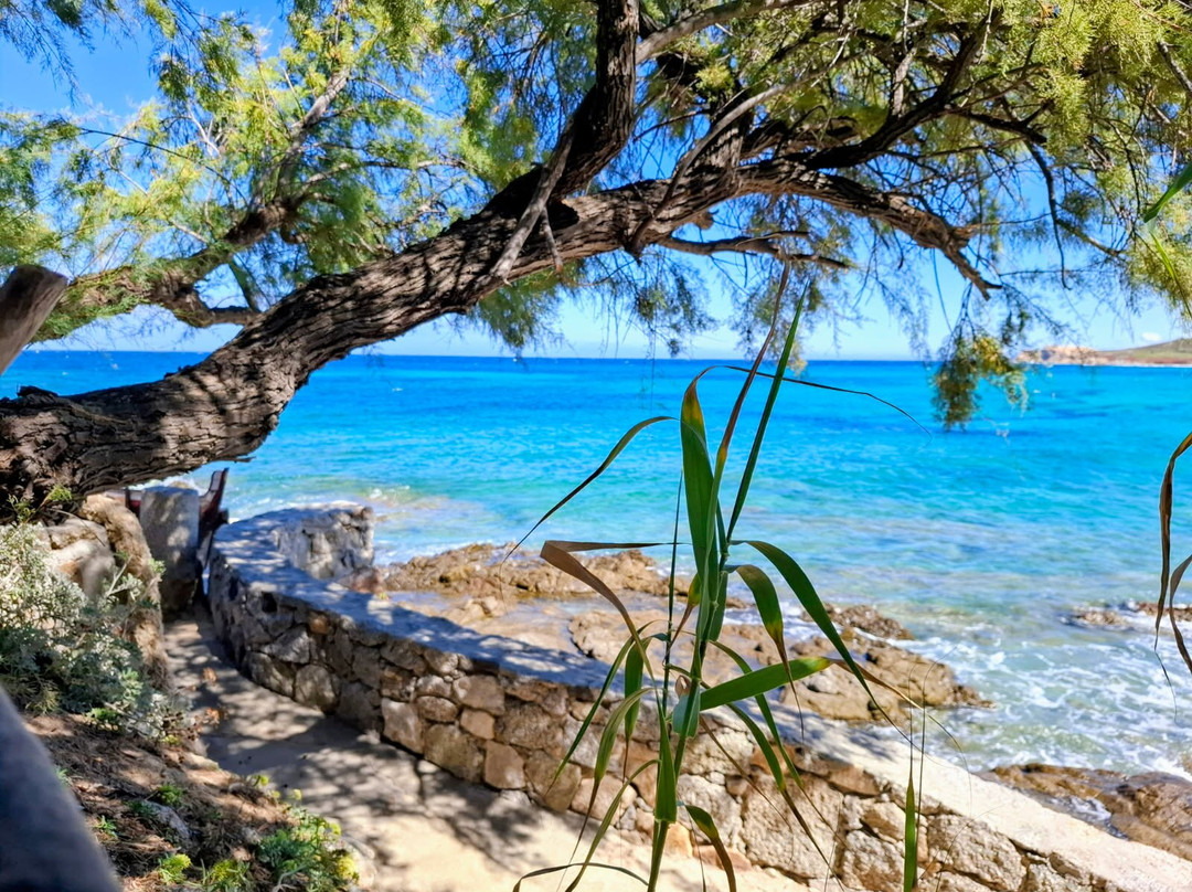 Plage de Ghjunchitu-Corbara必去景点