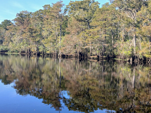 Black River Outdoors-美特尔海滩必去景点