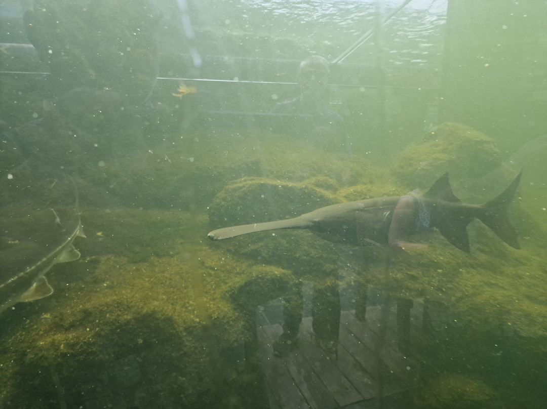 Aquarium du Perigord Noir-Le Bugue必去景点