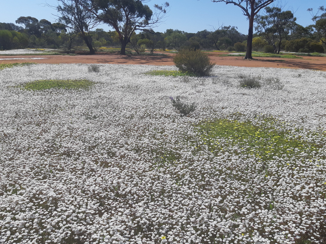 Casey Australia Tours-珀斯必去景点