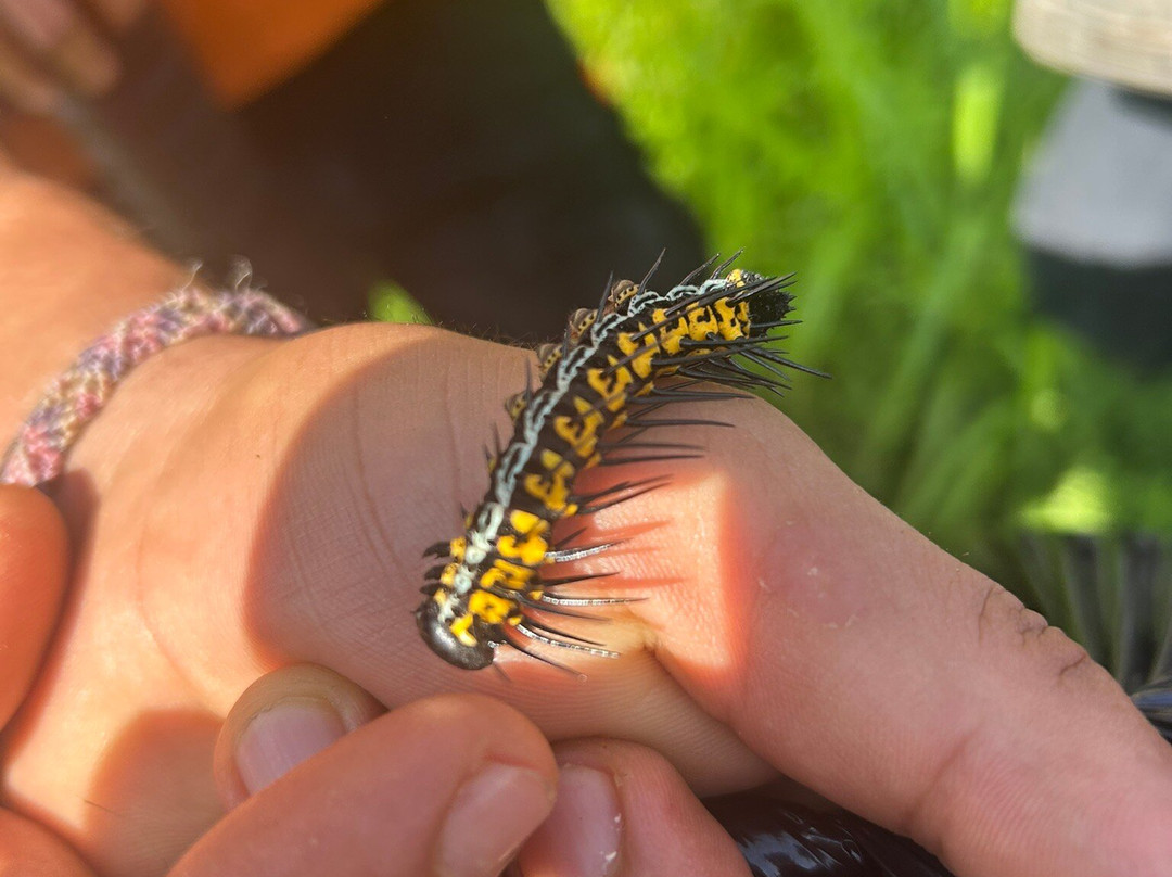 Cuyabeno Dolphin Lodge-Cuyabeno Wildlife Reserve必去景点