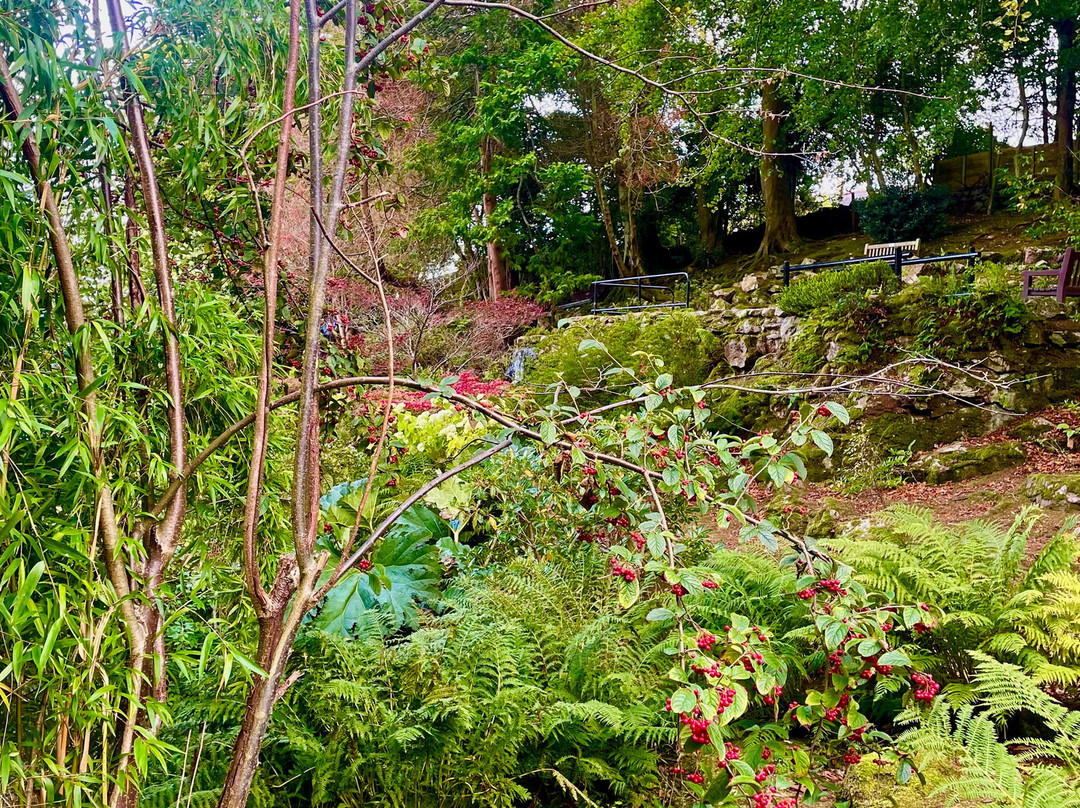 Johnston Gardens-阿伯丁必去景点