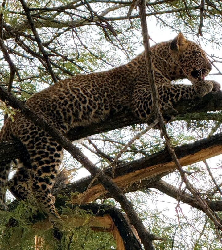 Mamnana Adventures-Olasiti必去景点