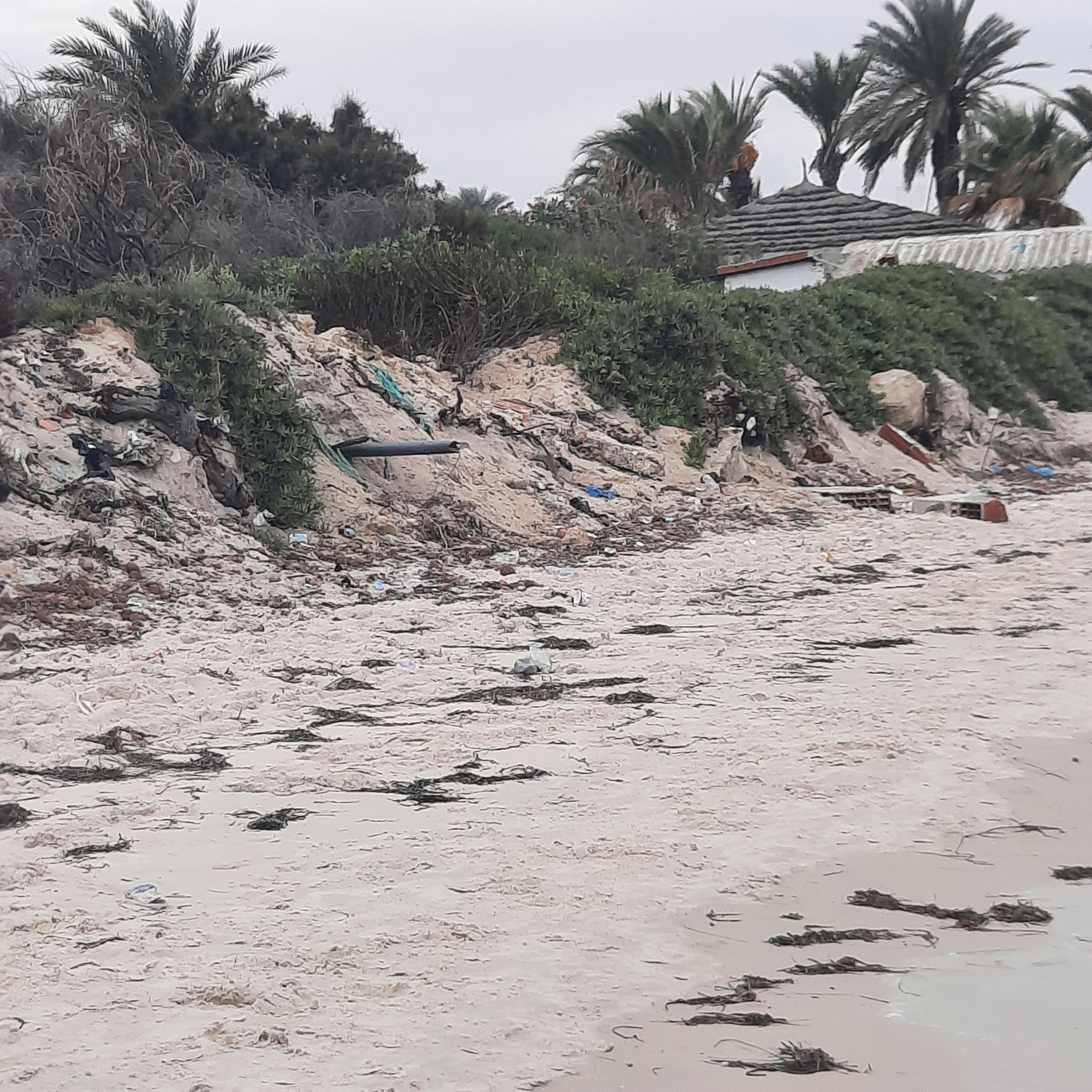 Royal Thalassa Monastir-泳池