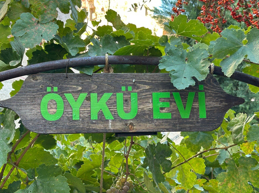 欧酷伊芙卡夫酒店主图