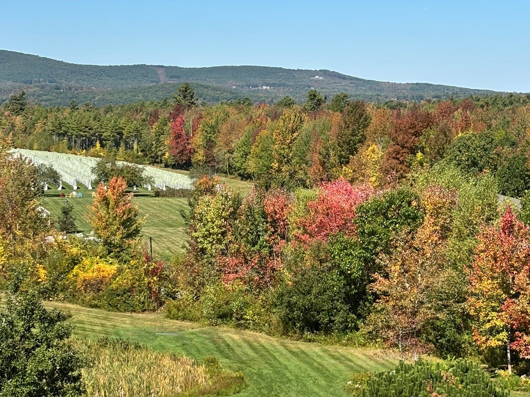 Cellardoor Winery-Lincolnville必去景点