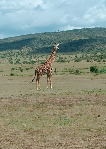 Destinations Kenya Safari-内罗毕必去景点