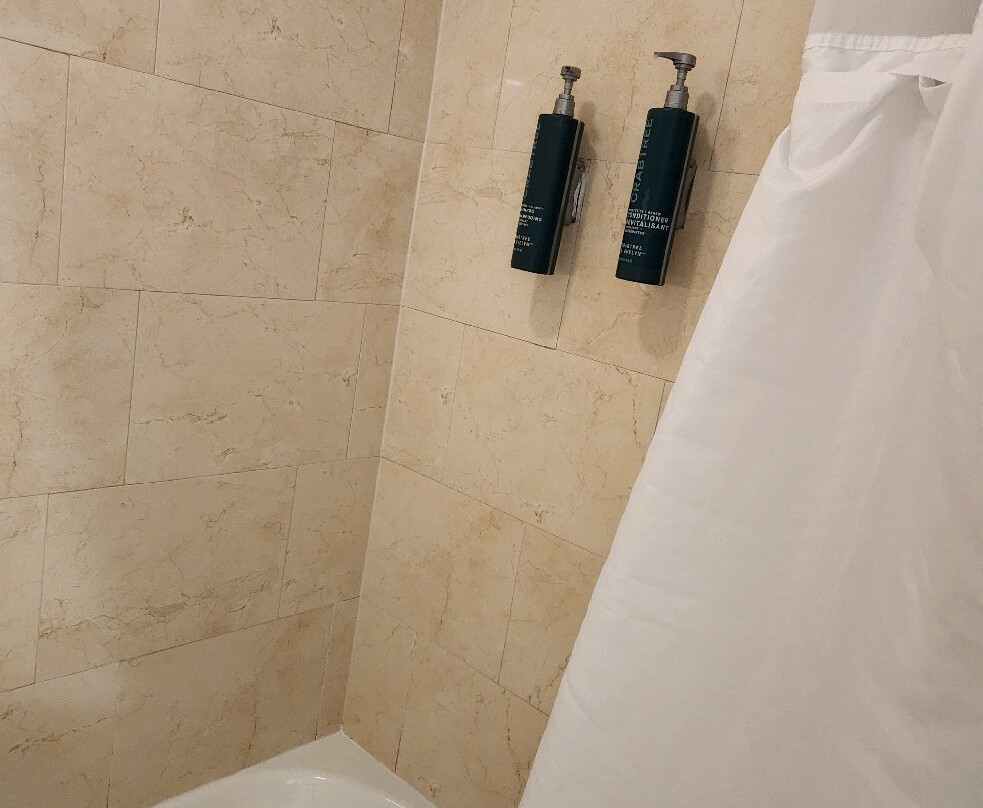 希尔顿逸林莱明斯特酒店主图