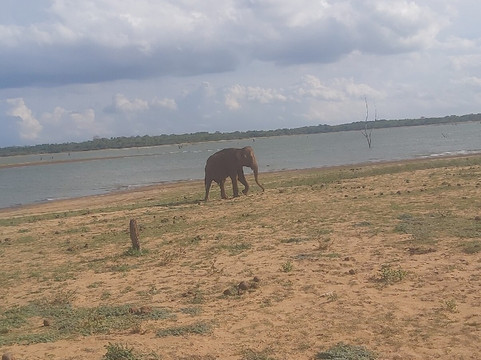 RS tour and cads-卡图纳耶克必去景点