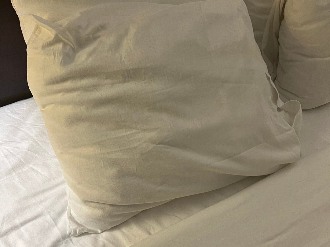 Best Western Dothan Inn & Suites主图