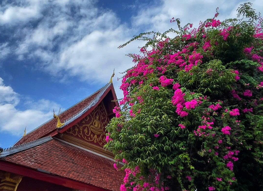 Laos Holiday Packages-万象必去景点