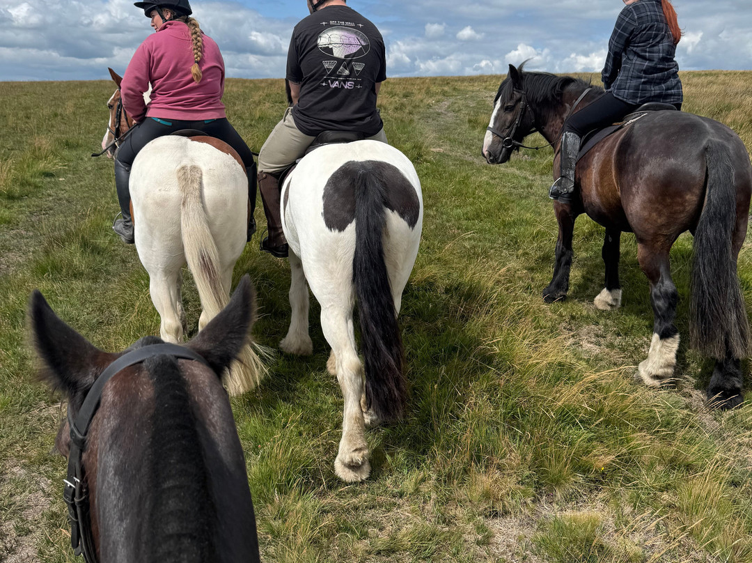 Cholwell Riding Stables-Mary Tavy必去景点