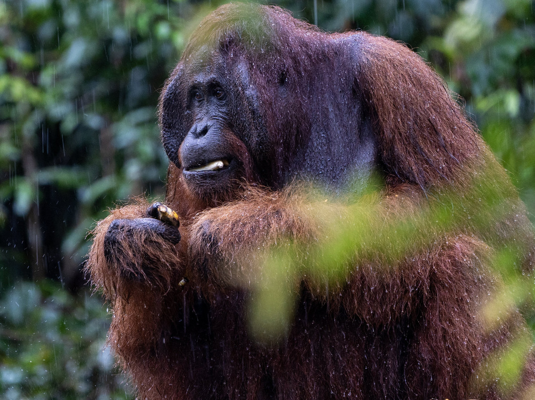 Bali Profond-登巴萨必去景点