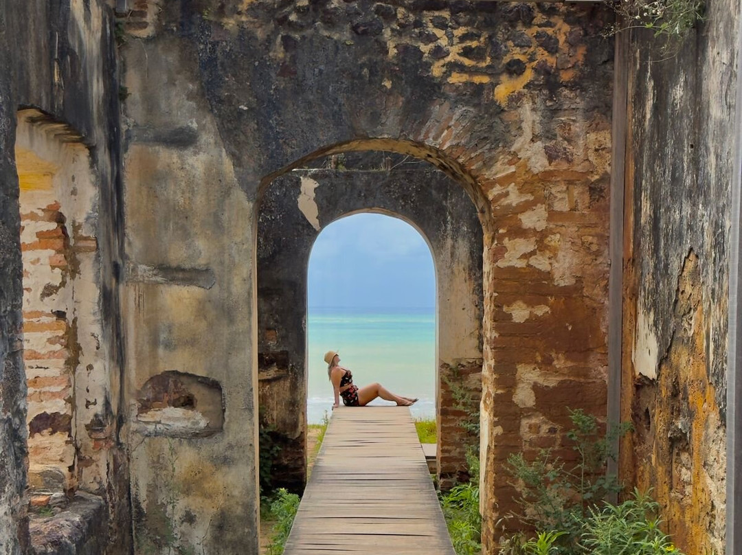 Maragogi Tour-Maragogi必去景点