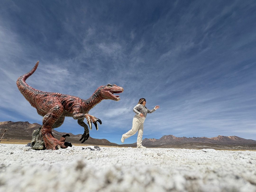 Góndola Tours-阿雷基帕必去景点