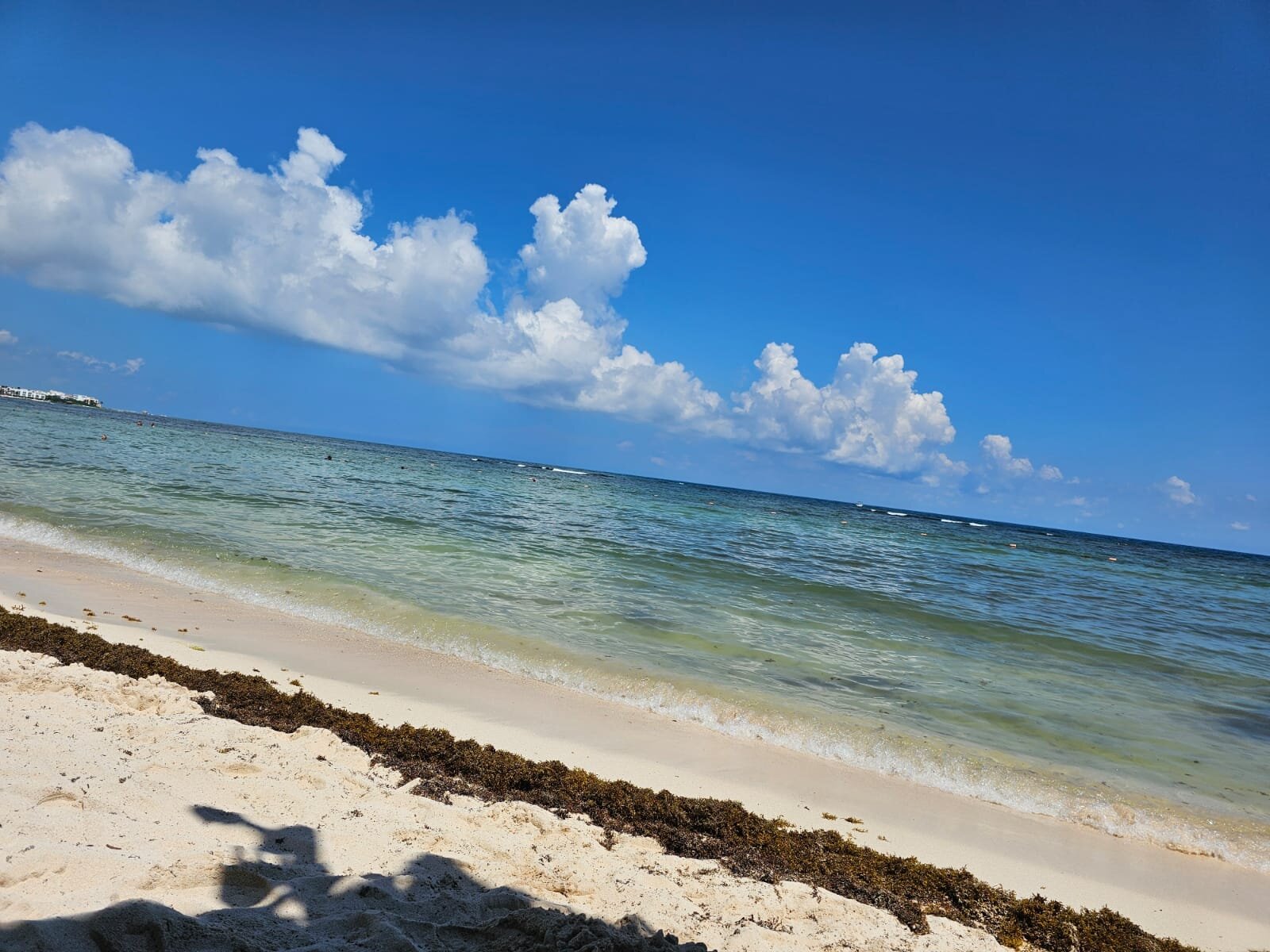 巴希亚普林西比科巴酒店-泳池