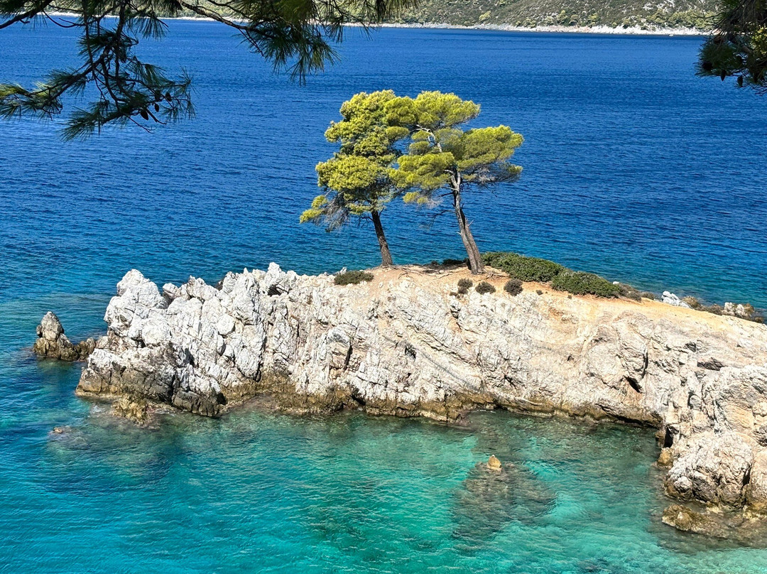 Three Trees Amarandos