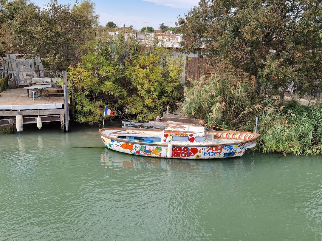 Bateau de Promenade le Camargue-滨海圣玛丽必去景点