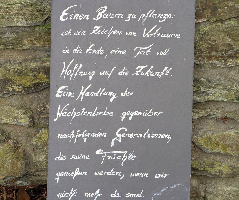 Abtei Marienstatt-Streithausen必去景点