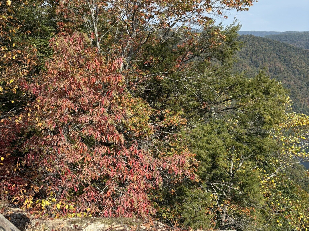 Turkey Spur Overlook-Beaver必去景点