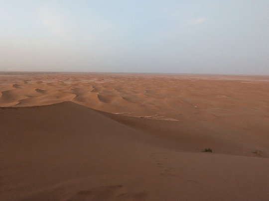 Sahara Secrets Discovery-迈哈米德必去景点