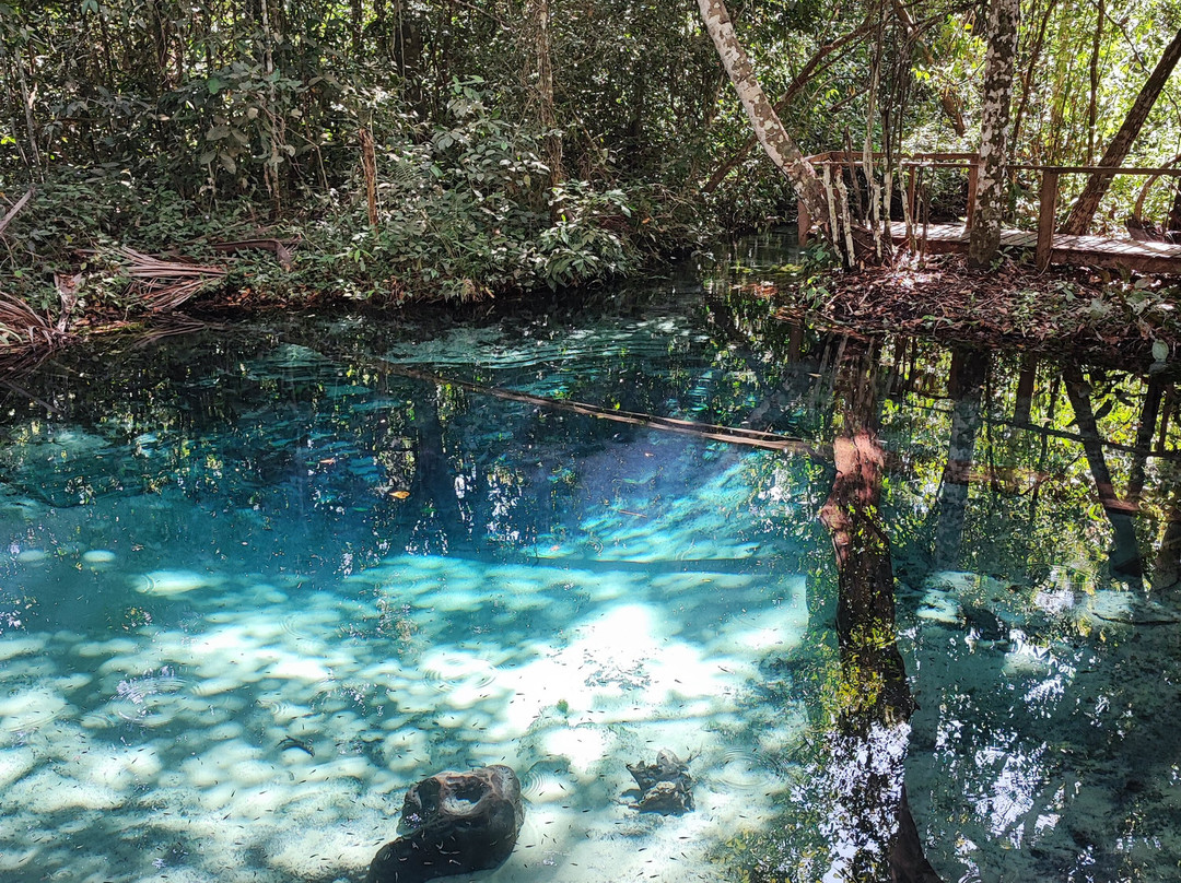 Aquário Encantado-诺布里斯必去景点