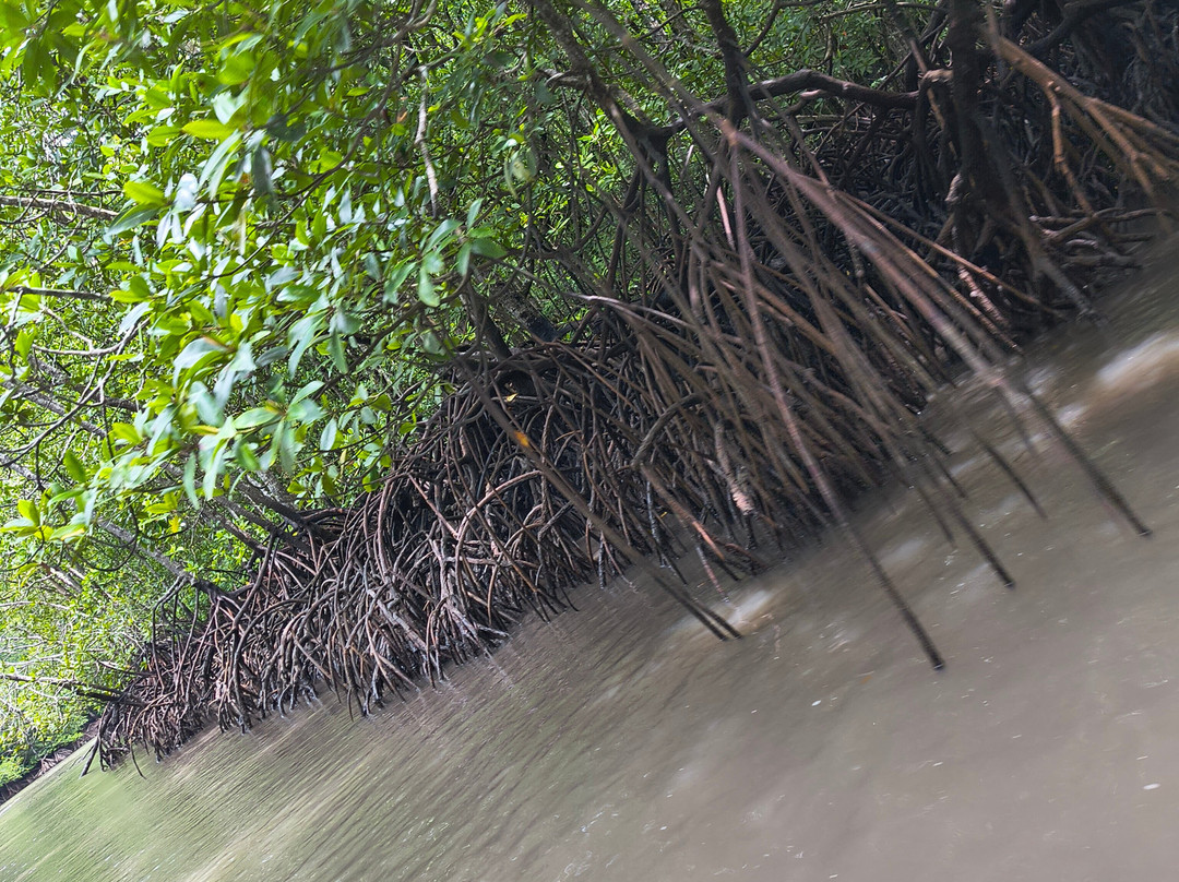 Langkawi Adventure & X-treme Park-兰卡威必去景点
