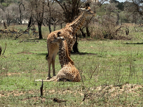 Soraka Tours-莫西必去景点