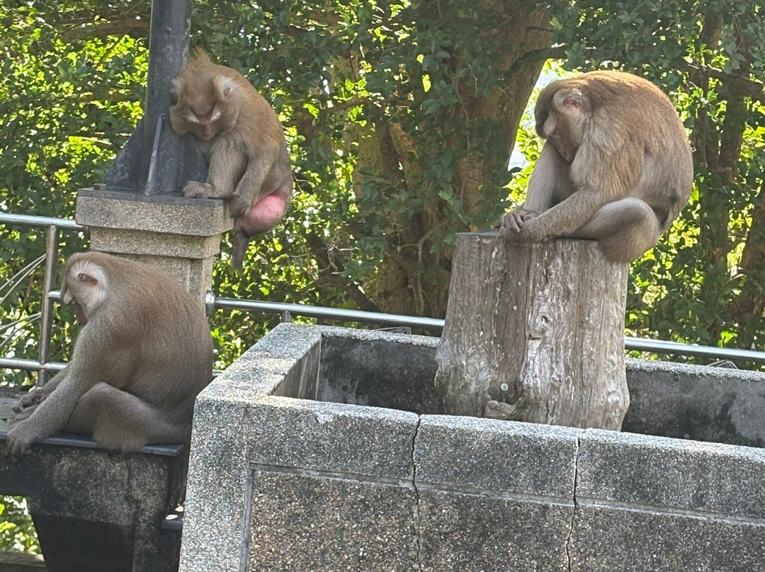 Thai Adventure Club-攀牙必去景点