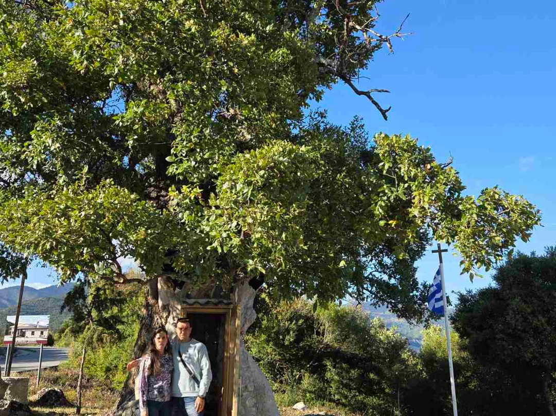 Tree Chapel Saint Paissiou-Agia Varvara必去景点