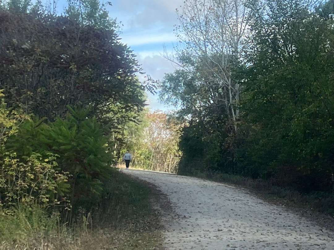 Van Patten Woods Forest Preserve-Wadsworth必去景点