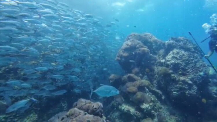 The Divers Boat Koh Phangan-Ban Tai必去景点