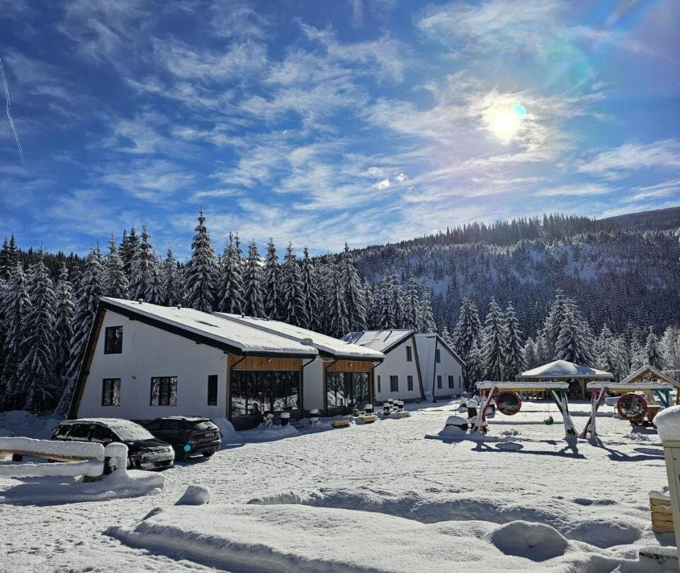 Gray River Resort